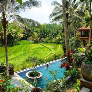 Ein Garten an der Unterkunft Umasari Rice Terrace Villa by AGATA