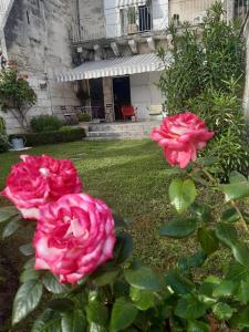 two pink roses in front of a building at Chambres d'Hôtes Les Jardins de la Cathédrale in Angoulême