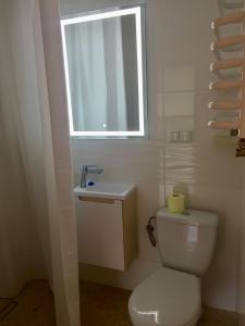 ベトリナにあるChata Bieszczadyのバスルーム(トイレ、洗面台付)、窓が備わります。