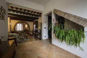 una sala de estar con una planta en la pared en Dimora Tipica Toscana, en Monticiano