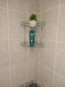 a plant on a shelf in a tiled bathroom at Havisham Studio Flat Rochester ME1 1XZ in Strood