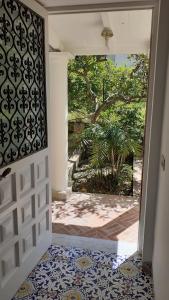 Villa Dorothee外面的花园