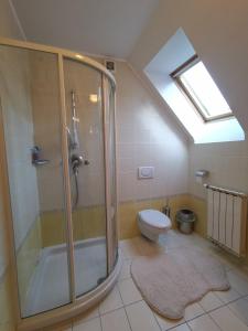 Ванная комната в Apartma Pohorje Bolfenk 5011