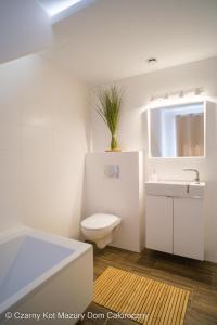 biała łazienka z toaletą i umywalką w obiekcie Czarny Kot Mazury Dom Całoroczny w mieście Małkinie