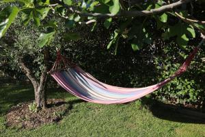 Zahrada ubytování Garden Villa Afytos
