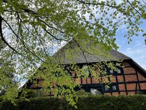 a wooden house with a black roof and some trees at Ferienwohnung St. Dionyser Heidedorf in Sankt Dionys