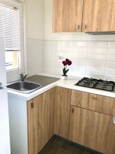 a kitchen with a sink and a stove at Camping Village Nice Garden in Ardea
