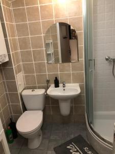 ein Badezimmer mit einem WC, einem Waschbecken und einem Spiegel in der Unterkunft Apartament na Wierzbowej parter in Kędzierzyn-Koźle