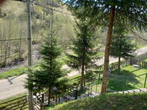 two christmas trees in a park next to a fence at Cabana Aura Campulung Moldovenesc in Câmpulung Moldovenesc