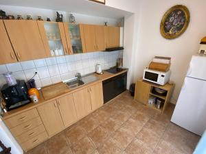 eine kleine Küche mit einer Spüle und einer Mikrowelle in der Unterkunft Villa Janja in Šilo