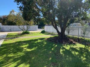 a tree in a yard next to a white fence at Coromandel Town Harbourside Cottage Luxury Accommodation in Coromandel Town