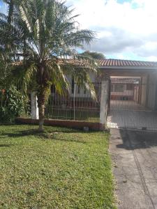 una palmera en un patio junto a una valla en Pousada Santa Felicidade Trieste D, en Curitiba