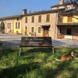 un cane steso sull'erba accanto a una panchina di Corte Pioppazza a Ceresara