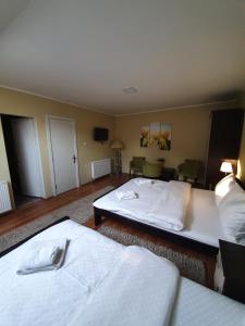 Mynd úr myndasafni af Guest House Mines í Vrdnik