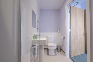 a bathroom with a toilet and a sink and a shower at No 2 Ocean Cabins - Saundersfoot Harbour - Saundersfoot in Saundersfoot