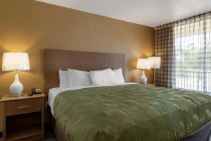 Gallery image of Quality Inn Saint Petersburg North-Tampa Bay in St. Petersburg