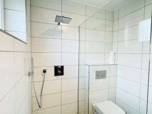 a bathroom with a shower and a toilet at Ferienwohnung Mittelrhein Familie Lehmann in Niederburg +19 photos