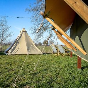 Gallery image of Pop-up glamping - Buurman's Awajitentje 2-4 pers in Zuna