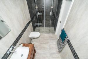 a bathroom with a shower and a sink and a toilet at Old Town 1 Bedroom Oasis with AC and Double Shower in Prague