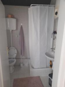 a bathroom with a toilet and a shower curtain at Wanted Šabac apartman in Šabac