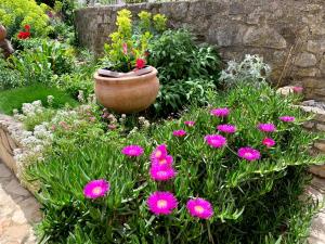 un jardín con flores rosas y una olla grande en Apartment Pino, en Bale