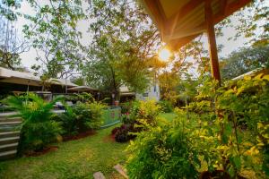 a yard with plants and a house at Shongwe Lookout in Victoria Falls