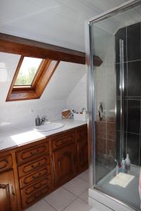 a bathroom with a shower and a sink at Le moulin Bertrand in Martigny-Courpierre