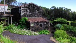 una vieja casa de piedra con flores delante en Casa da Adega en Prainha de Baixo