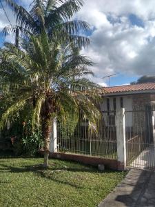 uma palmeira em frente a uma cerca em Pousada Santa Felicidade com garagem J em Curitiba