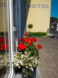 a pot of red flowers in front of a hotel at Hotel Lindenhof in Monschau