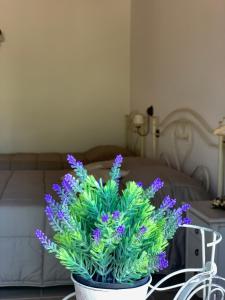 Gallery image of Barsentello in Noci