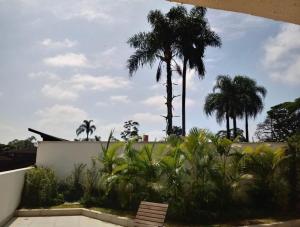 Blick auf einen Garten mit Palmen im Hintergrund in der Unterkunft Granja Viana Studio 429 decoracao industrial in Cotia