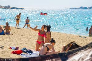 Majutusasutuse Mikri Vigla Hotel Beach Resort külastajad