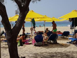 Majutusasutuse Mikri Vigla Hotel Beach Resort külastajad