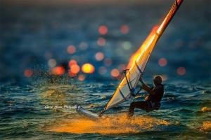 Majutusasutuse Mikri Vigla Hotel Beach Resort külastajad