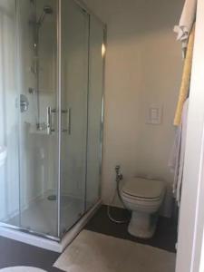 ein Bad mit einem WC und einer Glasdusche in der Unterkunft Barcola mare apartment in Triest