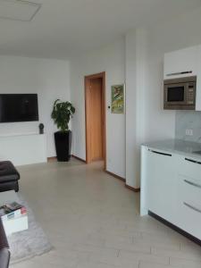 a room with a kitchen with a counter and a microwave at Villa Relax in Stresa