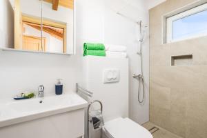 uma casa de banho com um WC, um lavatório e um chuveiro em Apartment Ursula em Lopar