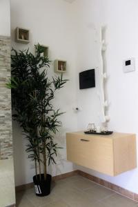 Casa Angelina Deluxe Suite في ليتشي: زرع في غرفة بجوار خزانة خشبية