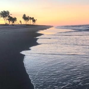 einen Strand mit Palmen und dem Meer bei Sonnenuntergang in der Unterkunft Tabubinha Paradise in Beberibe