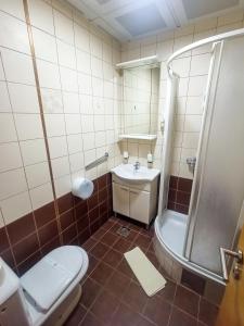 a bathroom with a toilet and a shower and a sink at Hotel Porto Bello in Trebinje