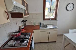 Kuchyň nebo kuchyňský kout v ubytování My House