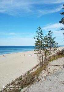 a beach with trees and the ocean in the background at Nadmorski apartament Sunset w Stegnie - Mierzeja Wiślana in Stegna