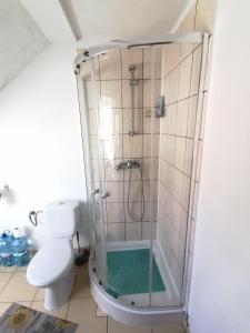 a bathroom with a shower and a toilet at Agroturystyka pod kasztanem in Lutowiska