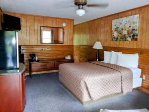 a hotel room with a bed and a television at Stony Creek Motel in Maggie Valley