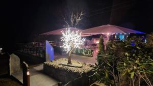 波特马多克Aberdunant Hall Holiday Park的相册照片