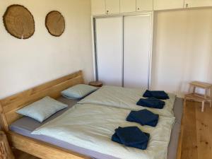 Bett mit blauen Kissen auf einem Zimmer in der Unterkunft Apartmán U Kola na Brčálníku in Hojsova Stráž