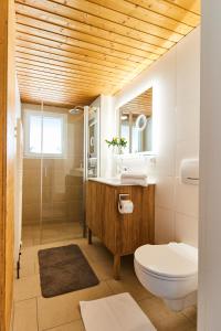 a bathroom with a toilet and a sink and a shower at Ferienhaus "Am Wäldle" in Feldberg