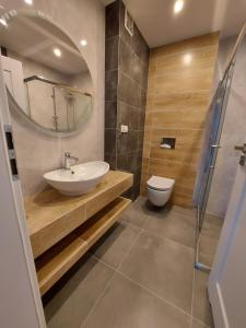 Kúpeľňa v ubytovaní Holidays Home Ustrzyki + 6 fotografií
