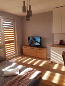 ein Wohnzimmer mit einem TV auf einer Holzkommode in der Unterkunft Apartament na Strzeleckiej in Płock